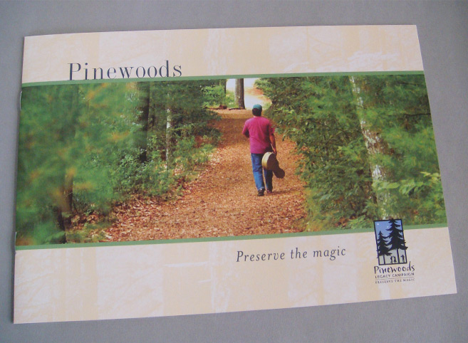 Nannini Design :: Print :: Pinewoods